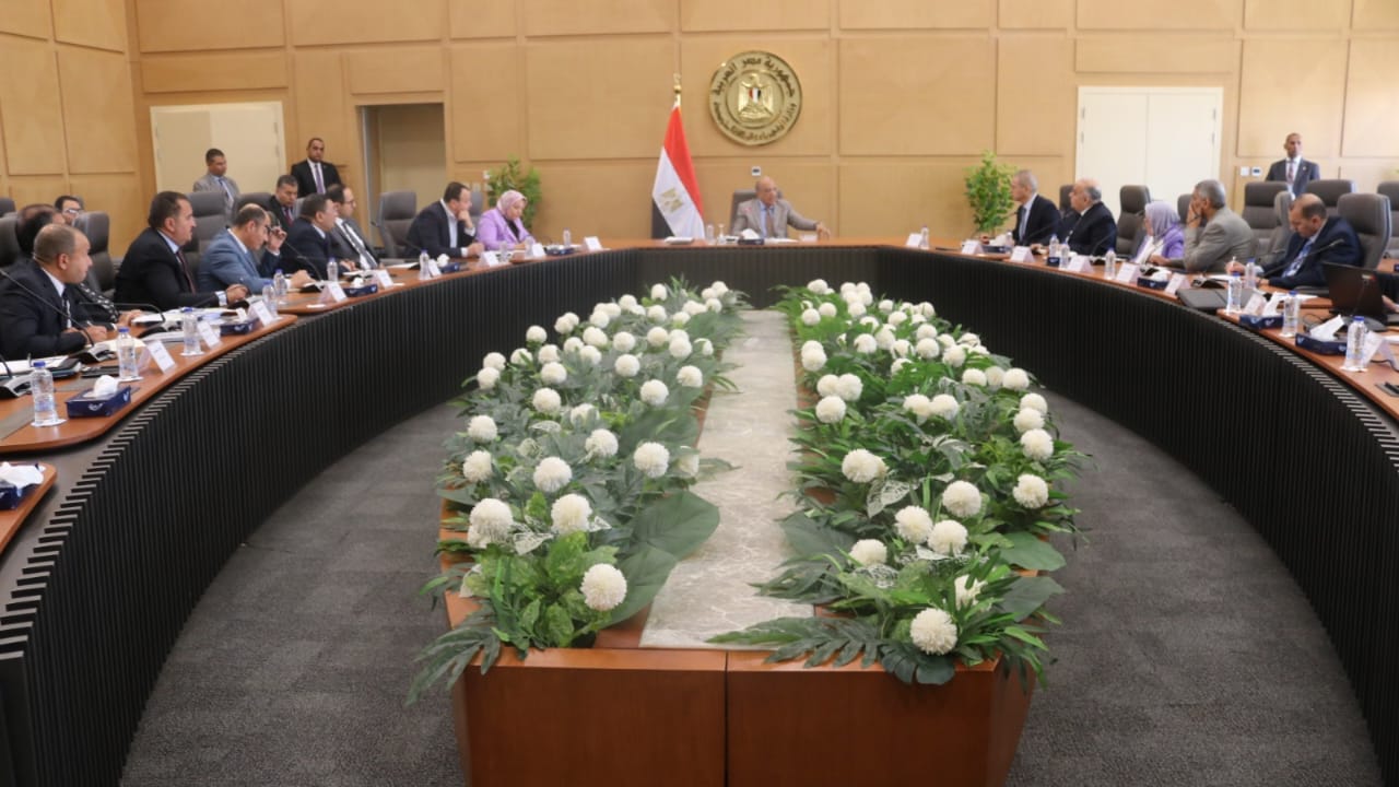 وزير الكهرباء مع قيادات الوزارة والشركة القابضة لكهرباء مصر