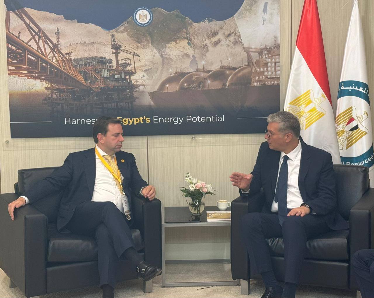 وزير البترول يلتقي نائب الرئيس التنفيذى للغاز الطبيعى المسال