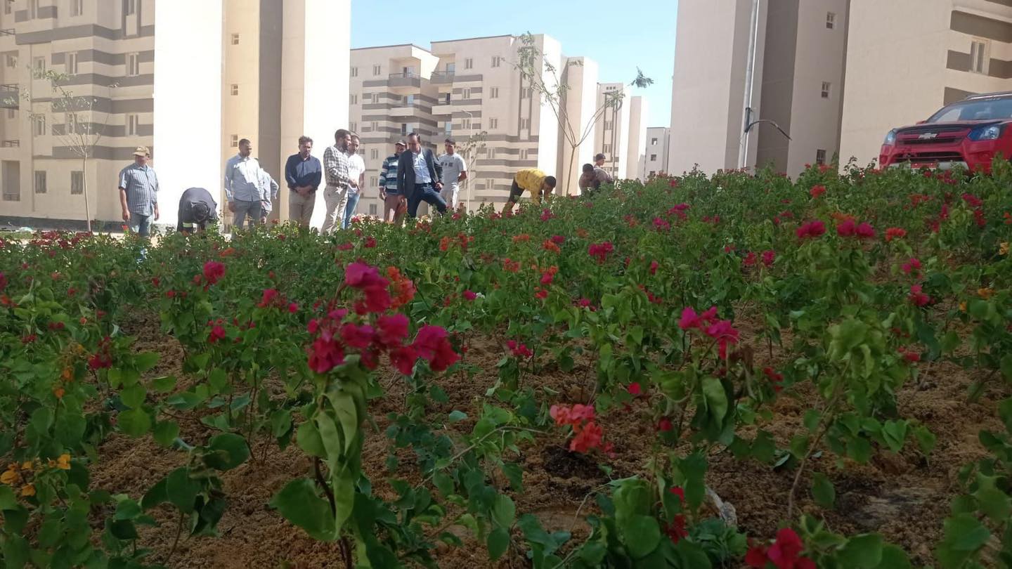 المبادرة الرئاسية سكن لكل المصريين بـ مدينة 15 مايو