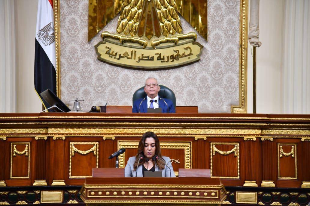 وزيرة التنمية المحلية امام مجلس النواب
