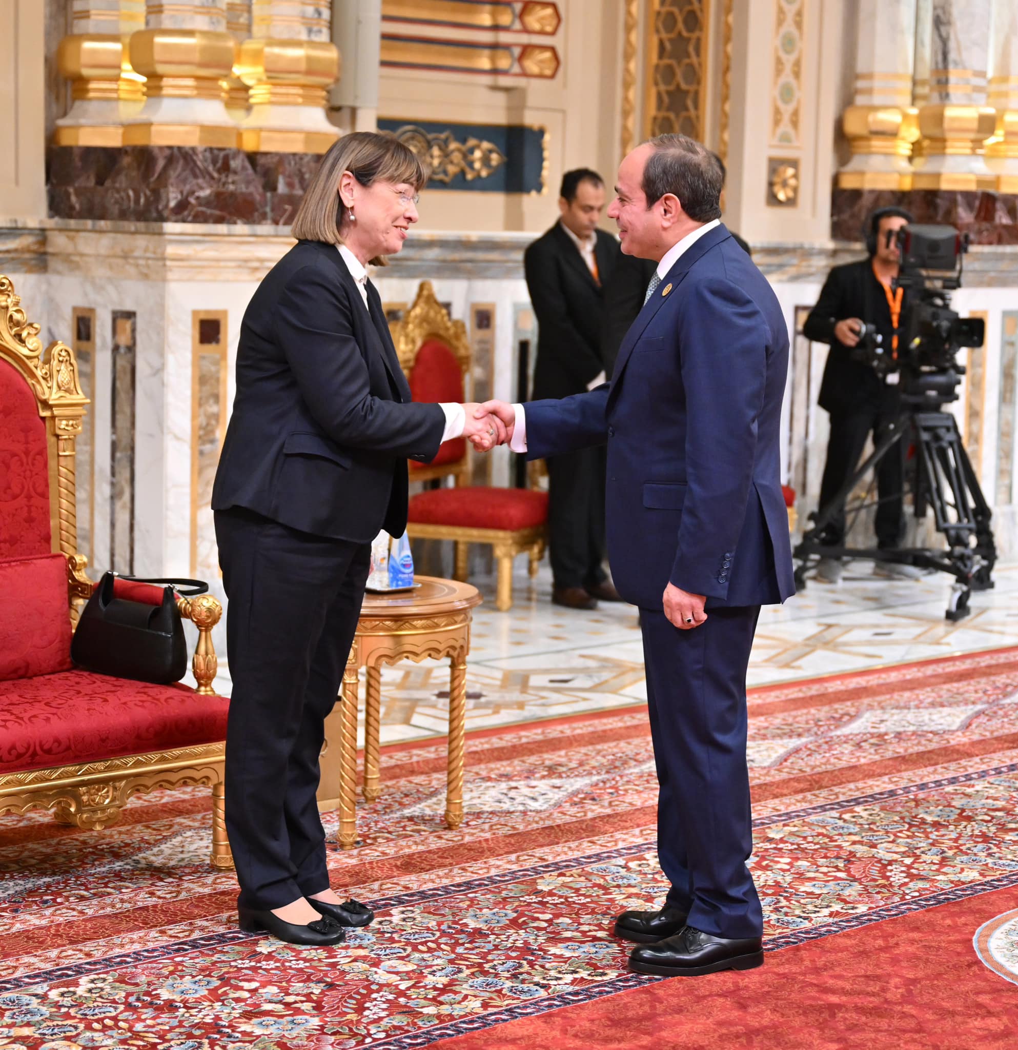 السيسي يفتتح قمة الدول الثماني النامية للتعاون الاقتصادي