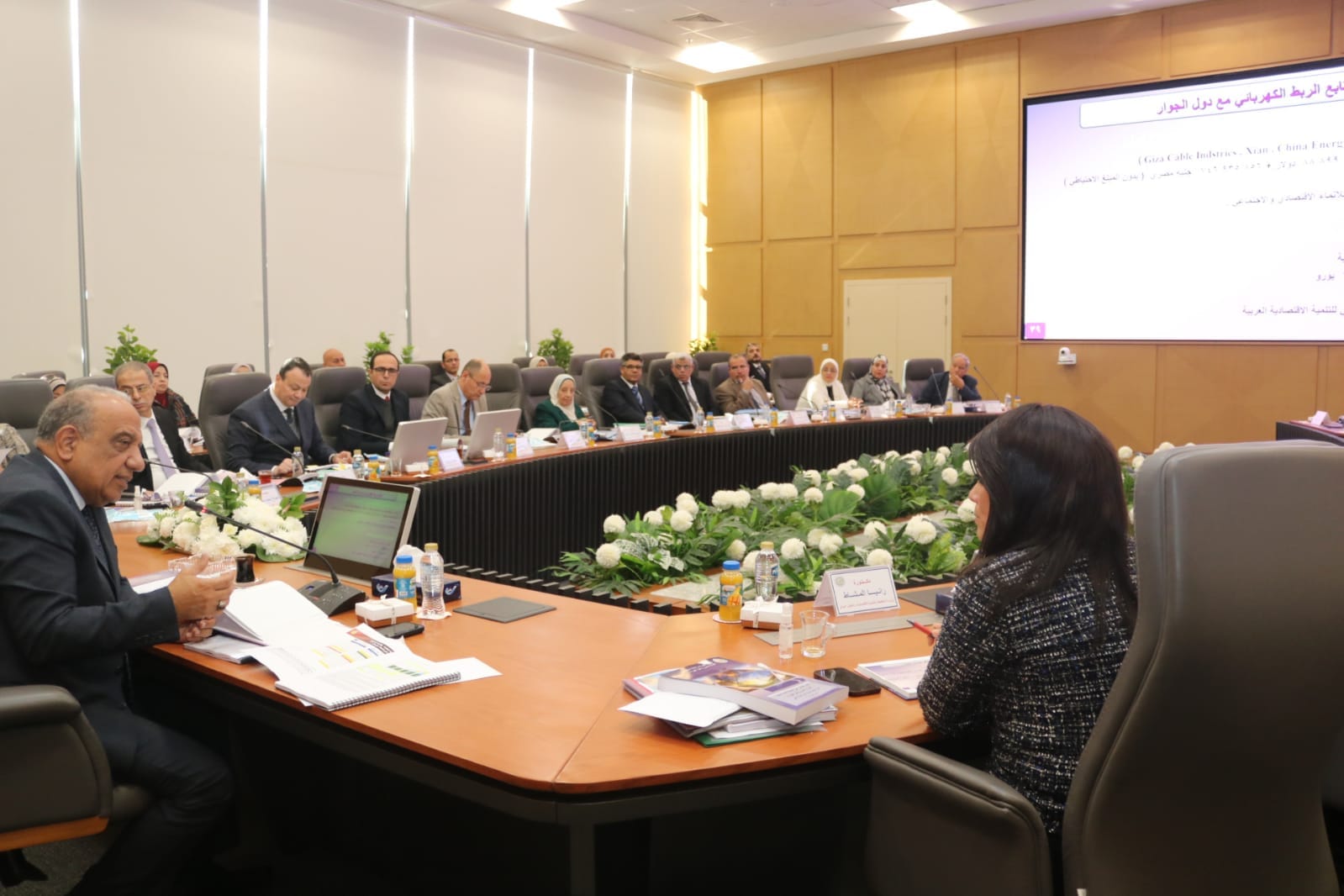 عصمت يترأس اجتماع الشركة المصرية لنقل الكهرباء