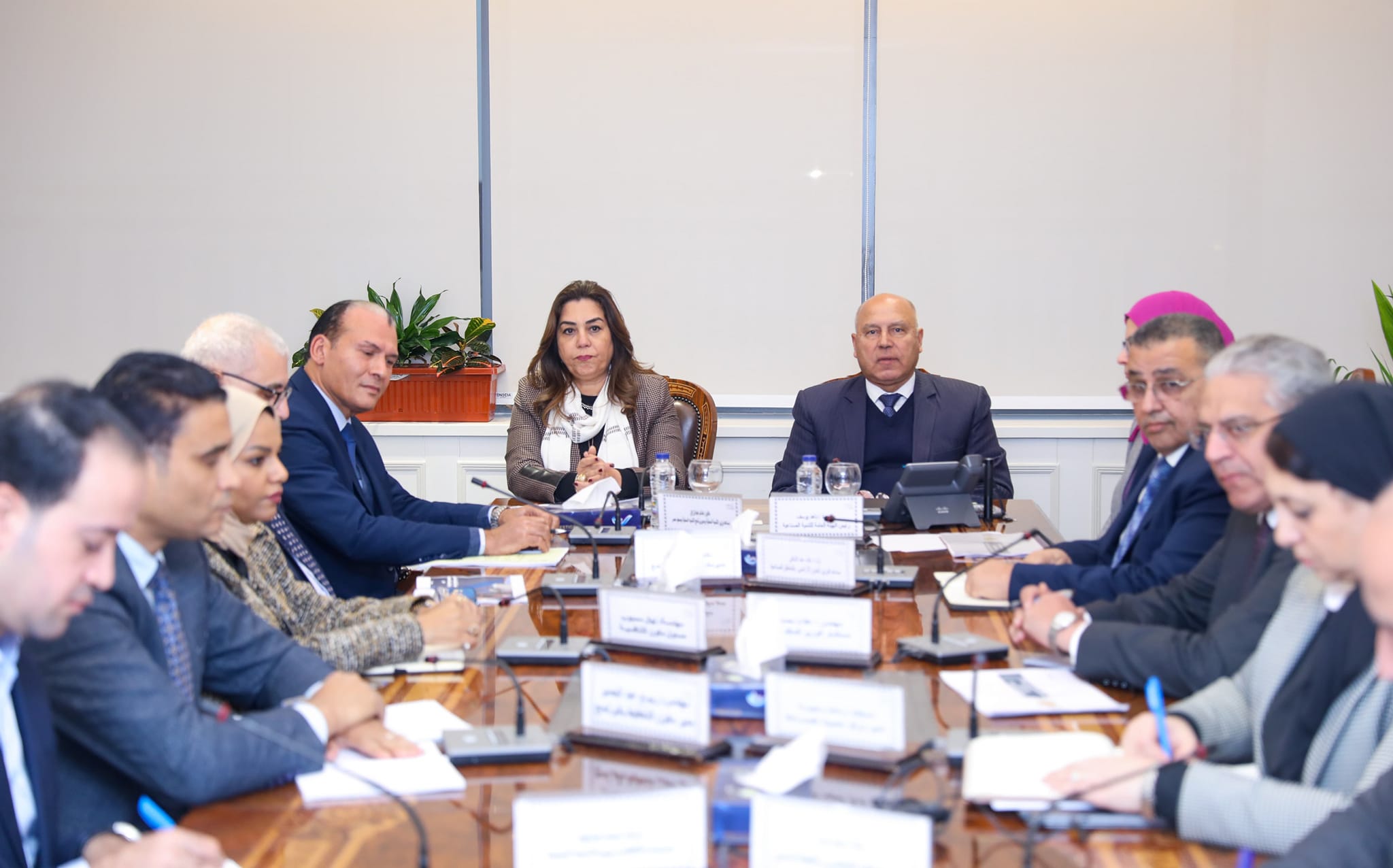 وزير الصناعة والنقل يبحث مع وزيرة التنمية المحلية