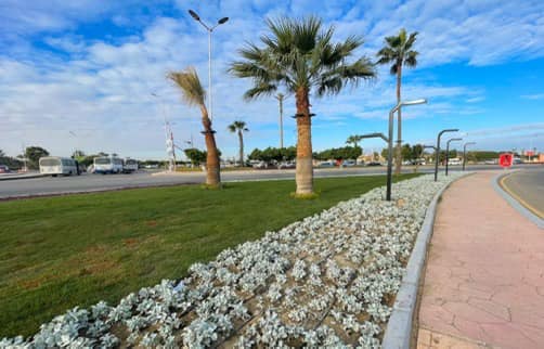 مشروعات بمدينة العاشر من رمضان