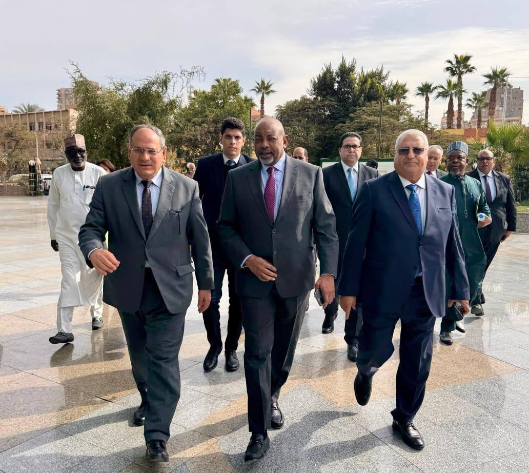 بحث سبل تعزيز التعاون بين مصر ونيجيريا