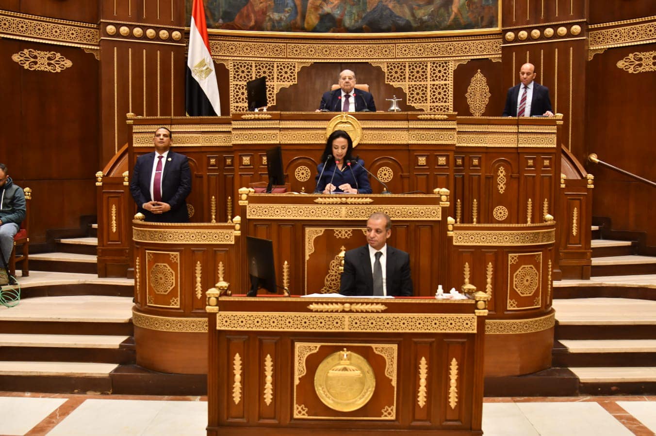 وزيرة التضامن الاجتماعي أمام الجلسة العامة بمجلس الشيوخ