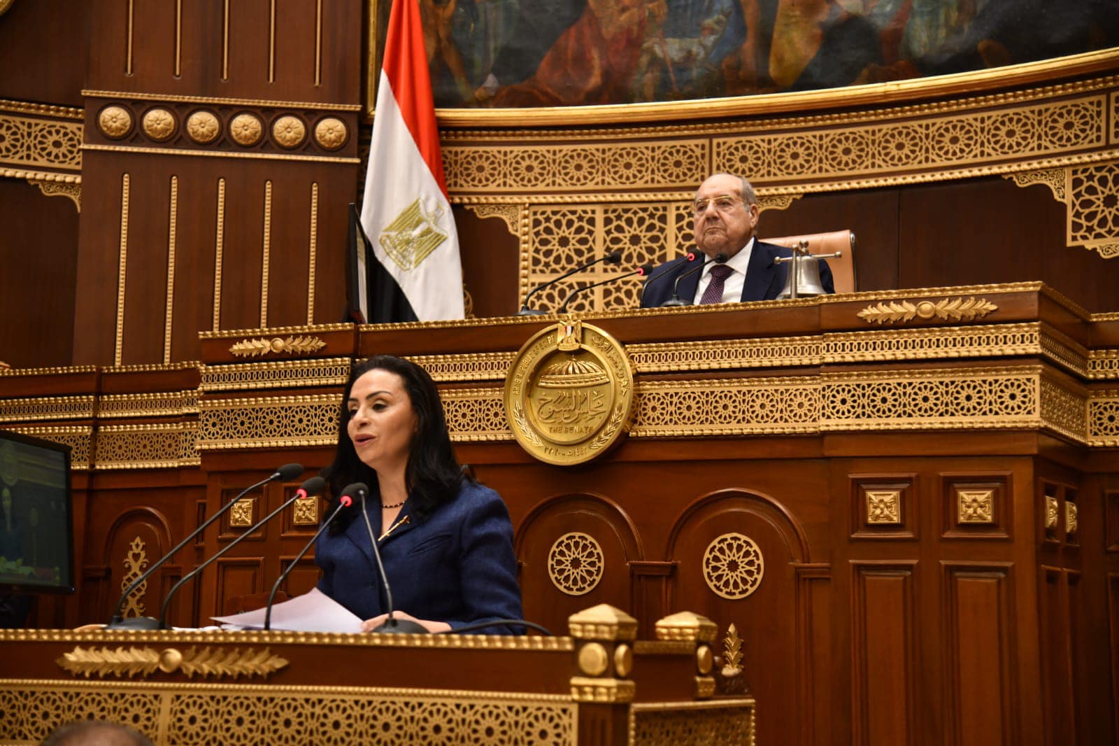 وزيرة التضامن الاجتماعي أمام الجلسة العامة بمجلس الشيوخ