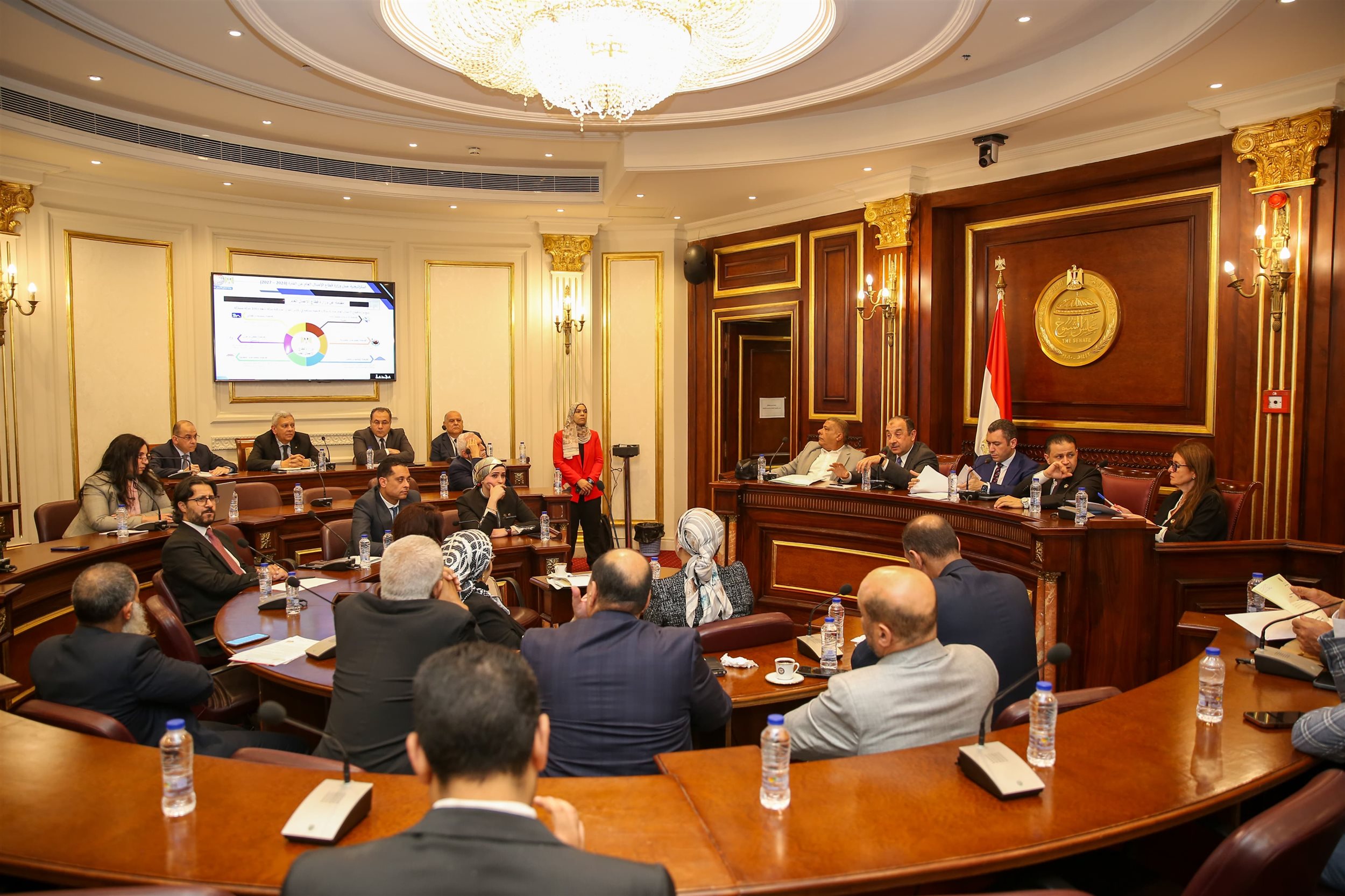وزير قطاع الأعمال يستعرض استراتيجية عمل الوزارة أمام لجنة الصناعة بمجلس النواب