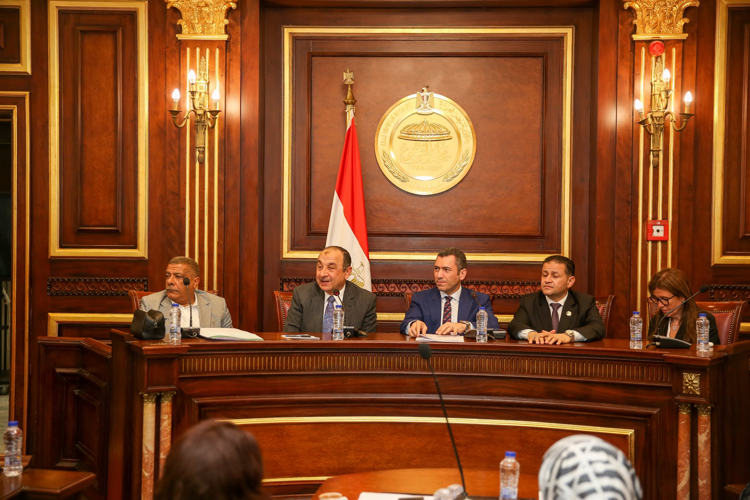 وزير قطاع الأعمال يستعرض استراتيجية عمل الوزارة أمام لجنة الصناعة بمجلس النواب