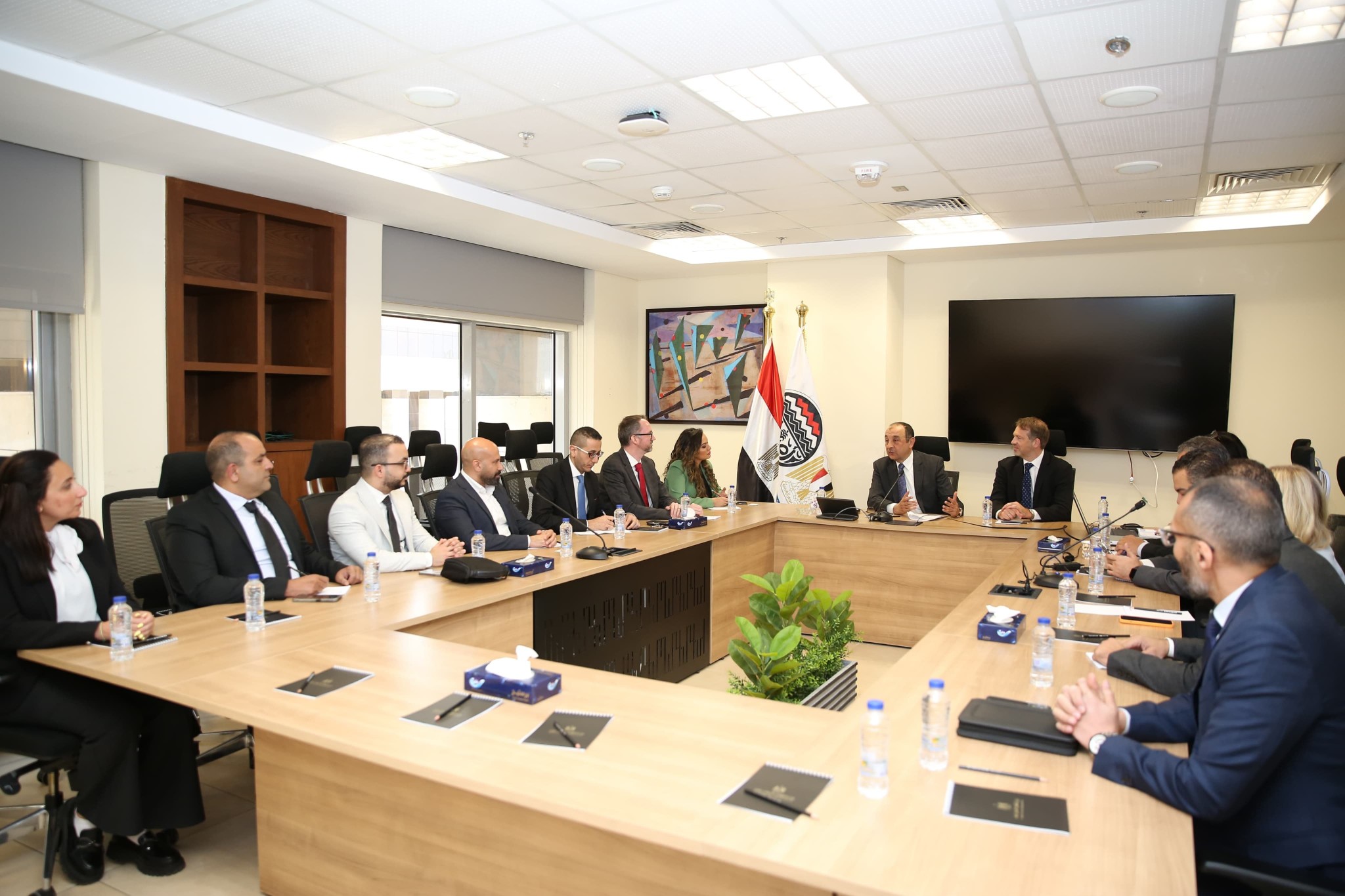 وزير قطاع الأعمال يبحث فرص التعاون والاستثمار مع الدنمارك