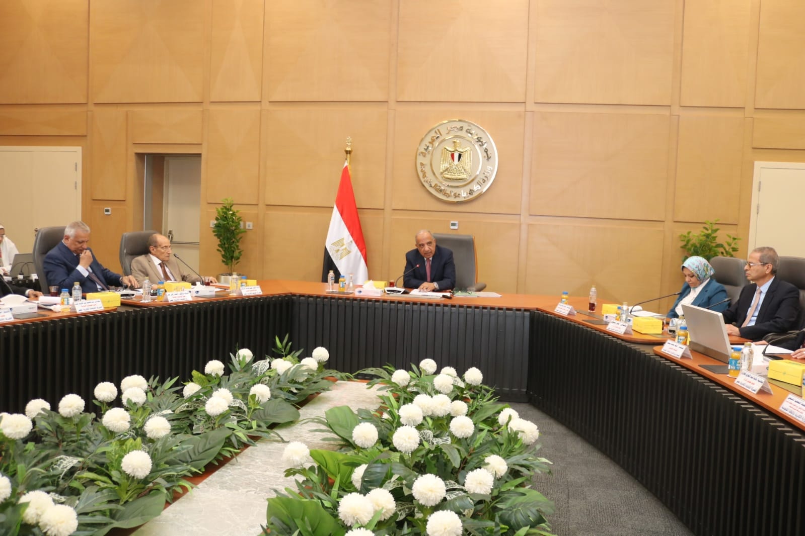اجتماعات شركة كهرباء مصر والشركة المصرية لنقل الكهرباء
