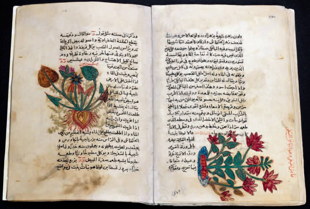 وزارة السياحة والآثار تحتفل بيوم المتاحف العالمي