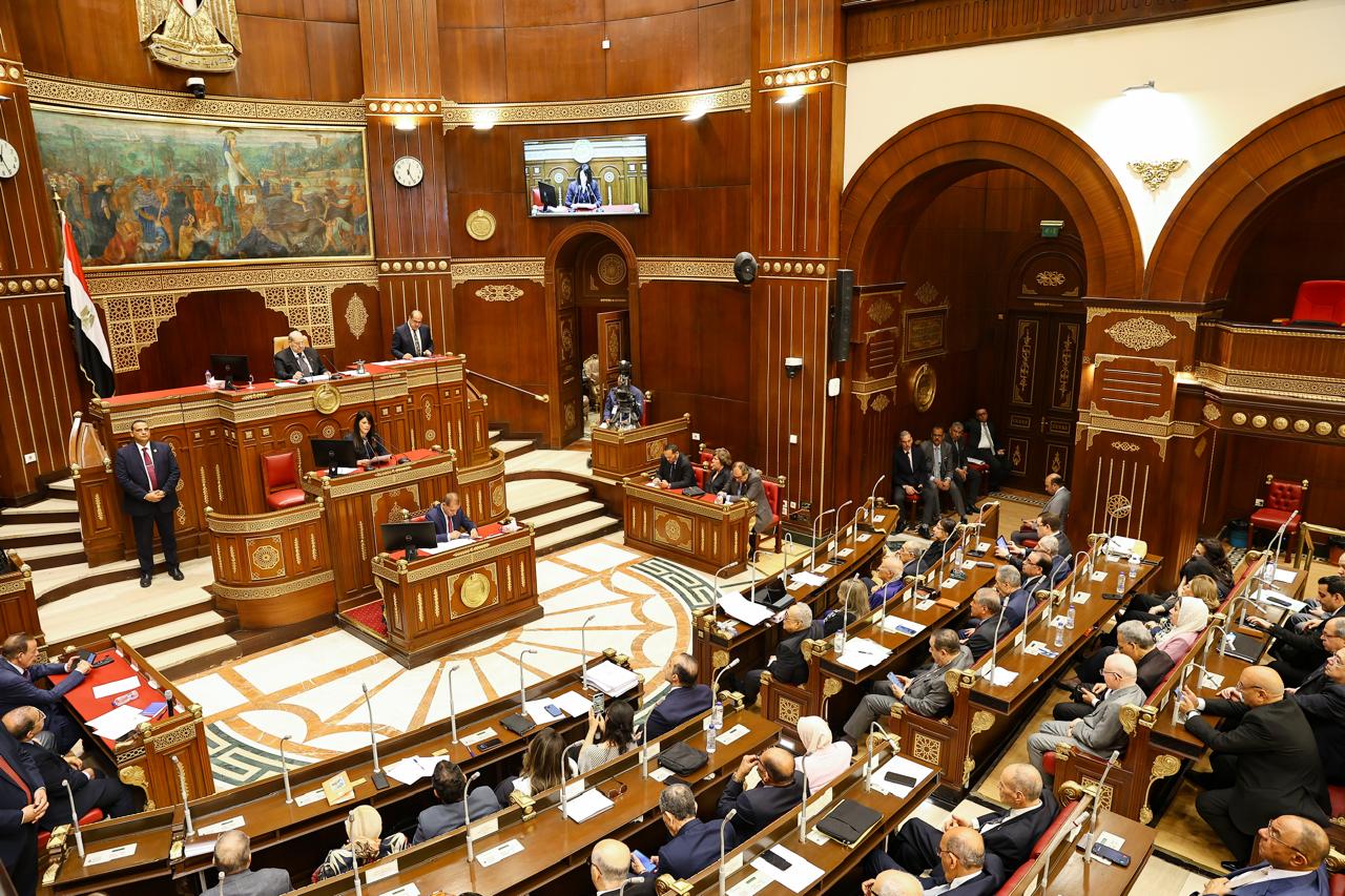 وزيرة التخطيط والتعاون الدولي في مجلس الشيوخ