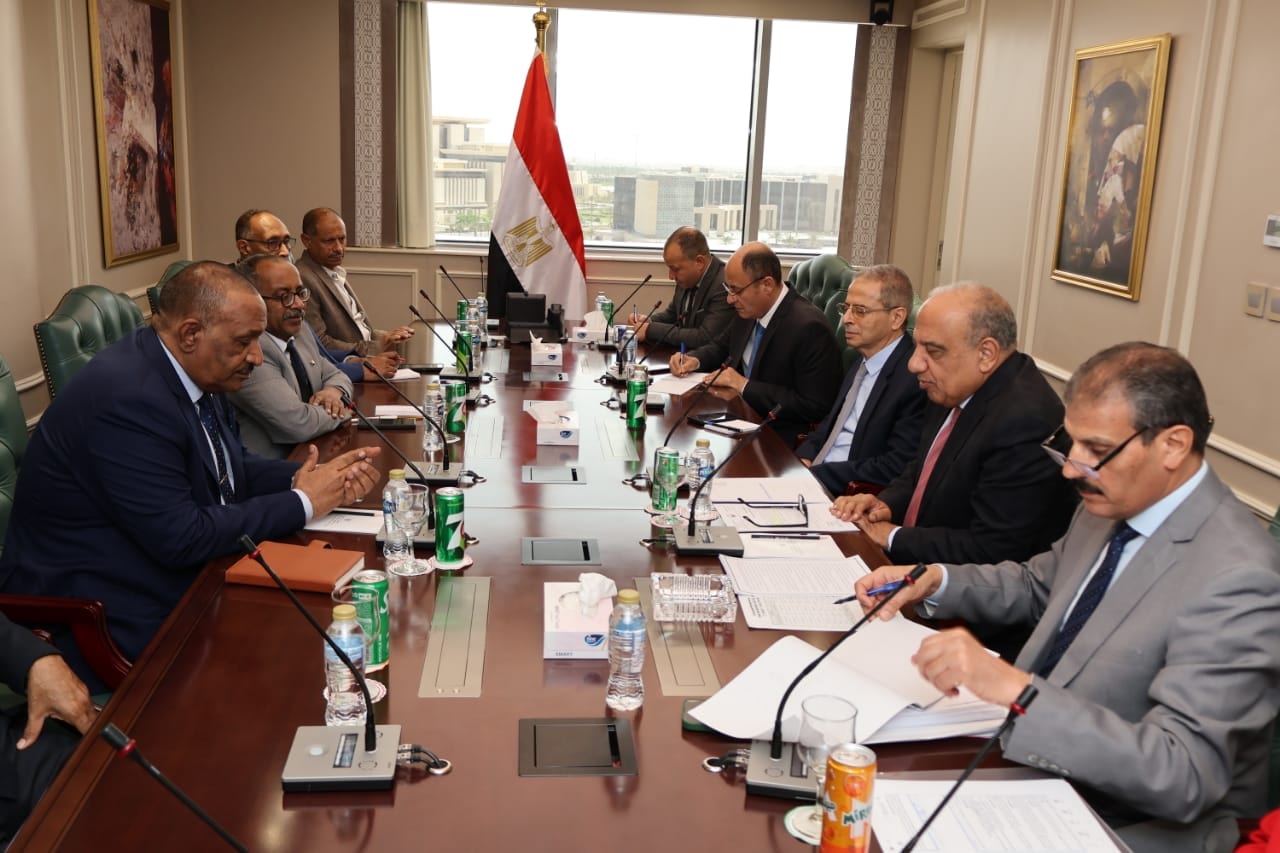 وزير الكهرباء يجتمع مع وزير النفط والطاقة السوداني