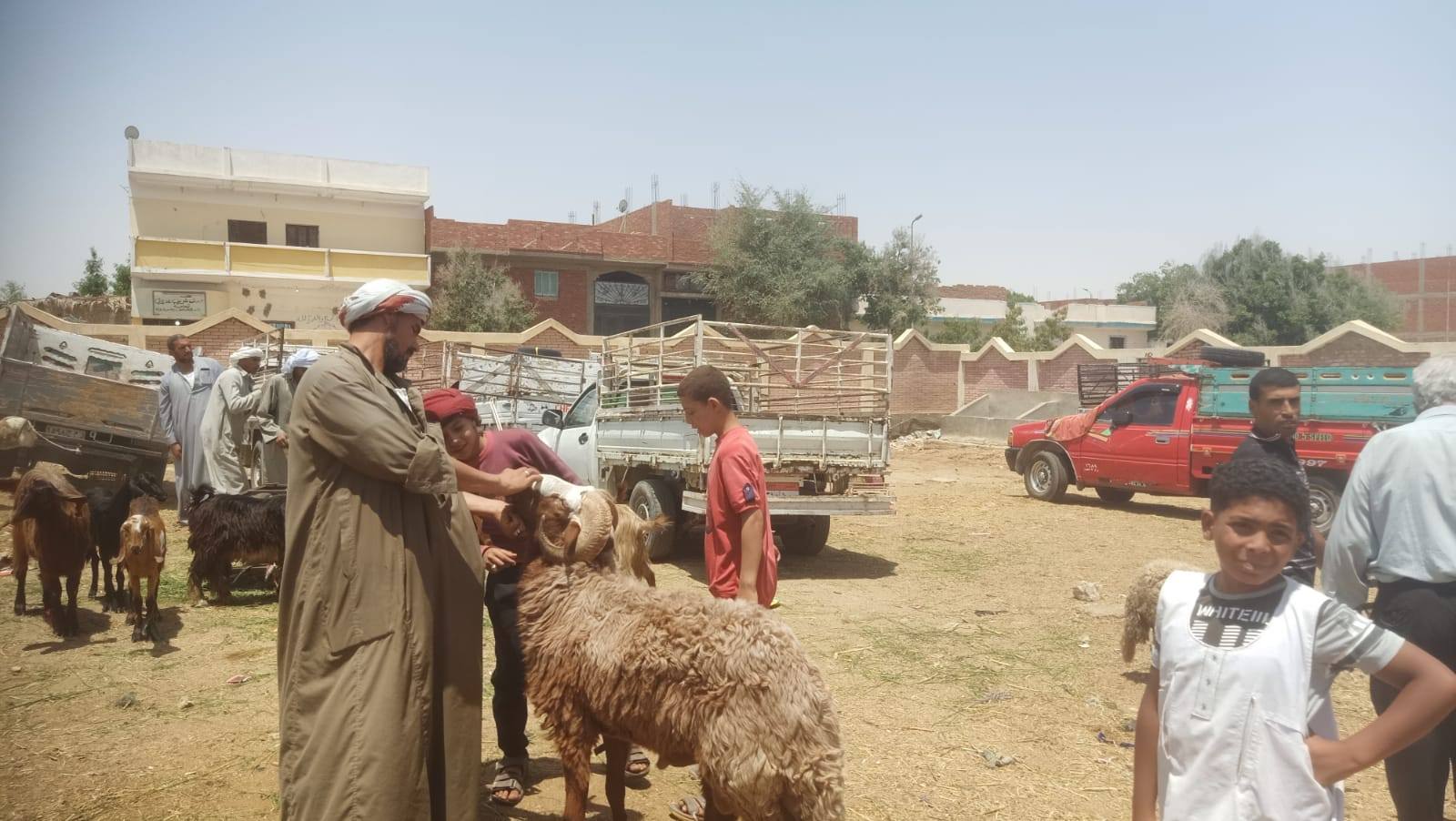 وزير الزراعة يتابع لجان المرور على أماكن بيع الأضاحي