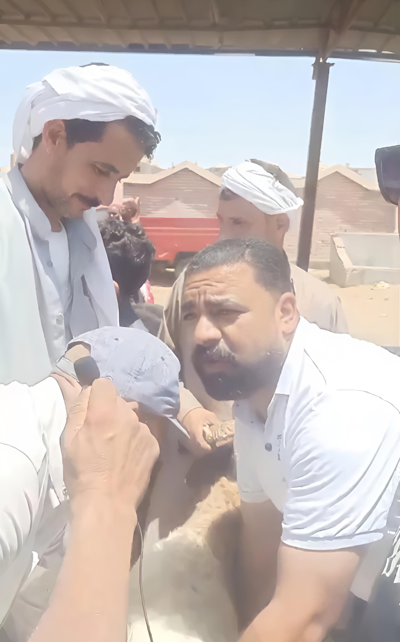 وزير الزراعة يتابع لجان المرور على أماكن بيع الأضاحي