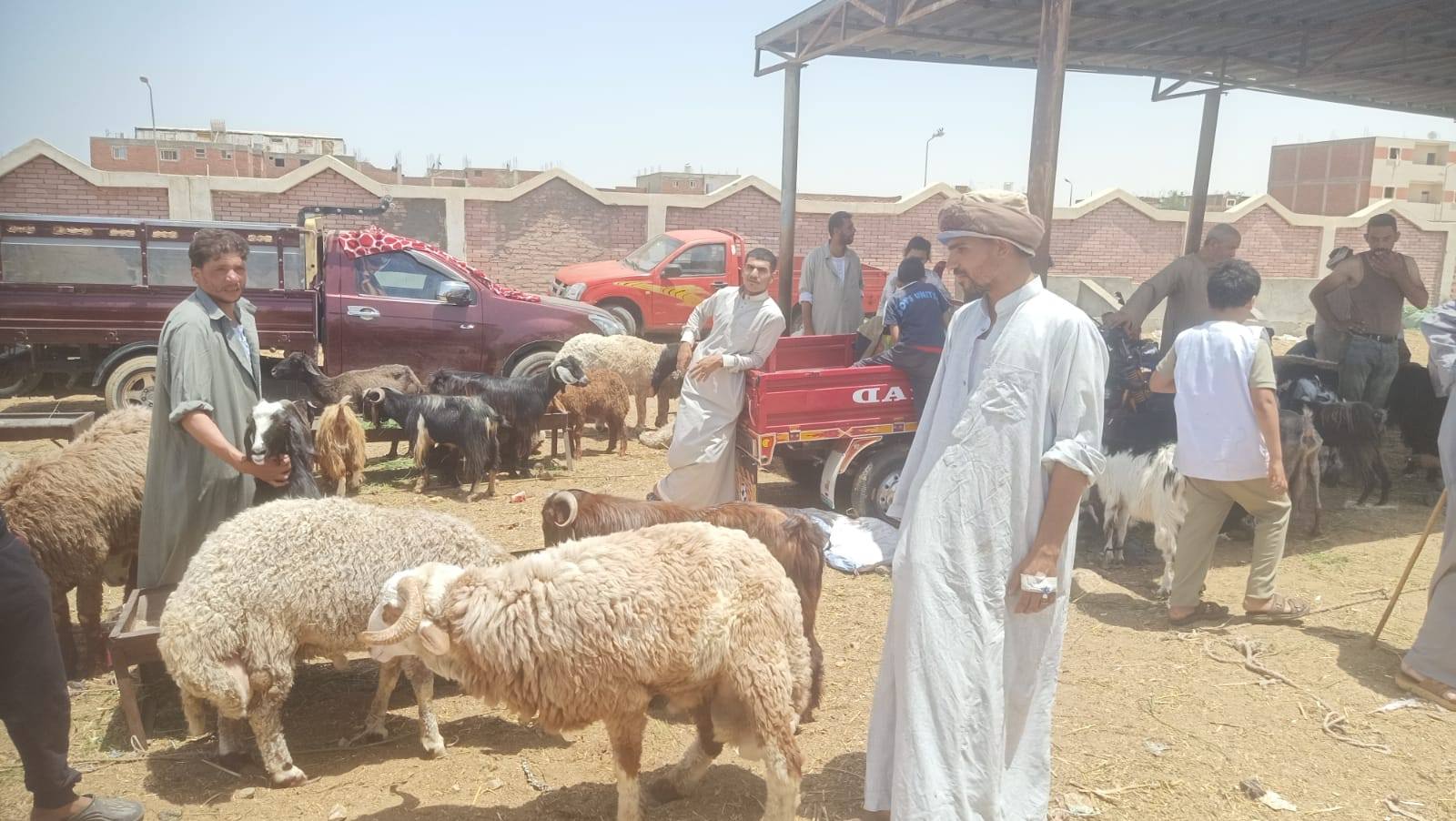 وزير الزراعة يتابع لجان المرور على أماكن بيع الأضاحي