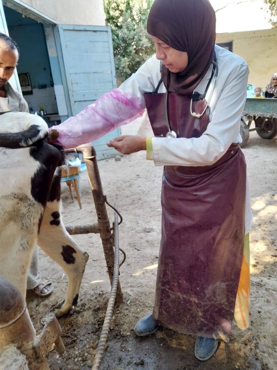الزراعة تكثف جهودها لحماية الثروة الحيوانية من خلال قوافل علاجية وحملات التقصٍي الوبائي