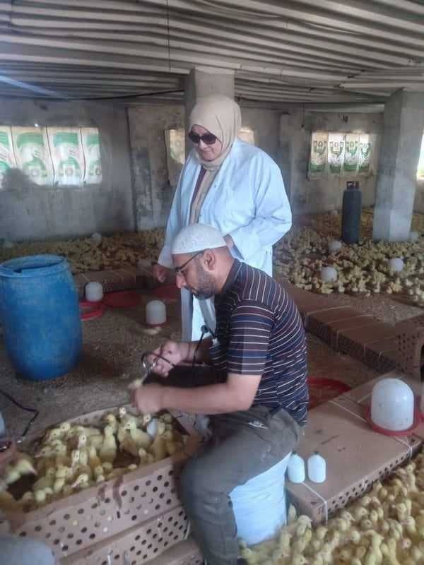 الزراعة تكثف جهودها لحماية الثروة الحيوانية من خلال قوافل علاجية وحملات التقصٍي الوبائي