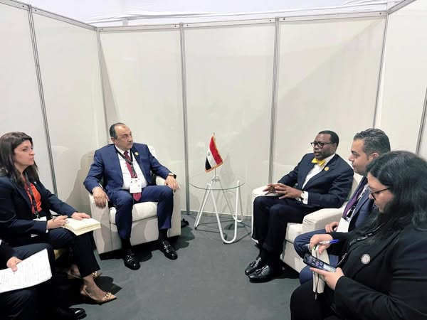 وزير قطاع الأعمال يلتقي رئيس مجموعة البنك الأفريقي للتنمية
