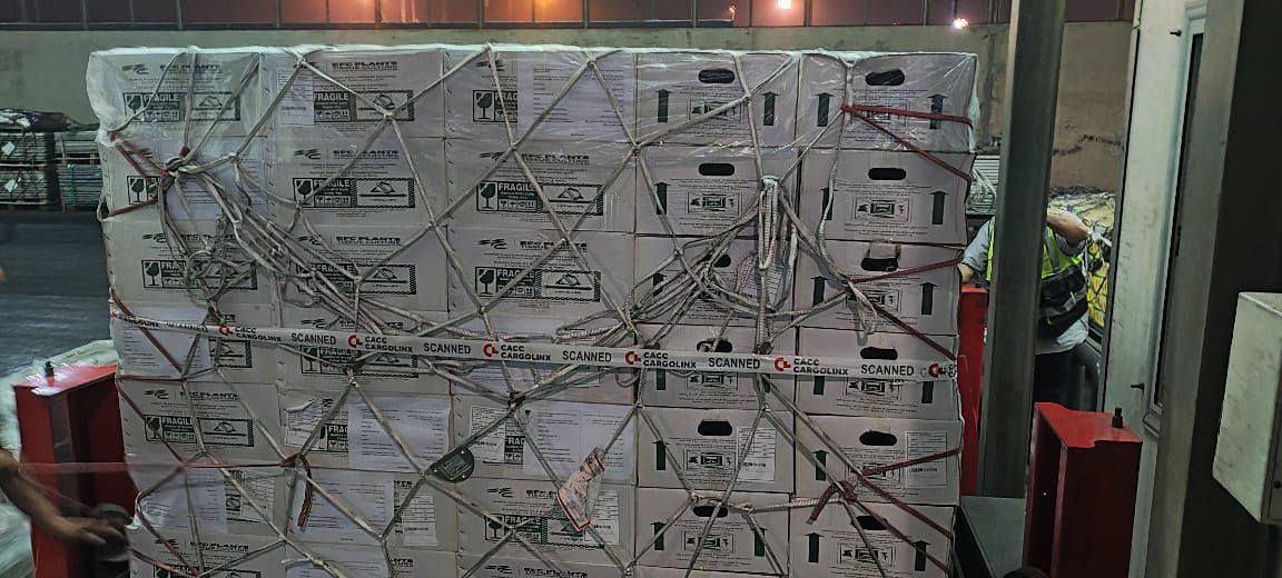 انطلاق أول شحنة تقاوي بطاطس ميني تيوبر إلى أوزبكستان