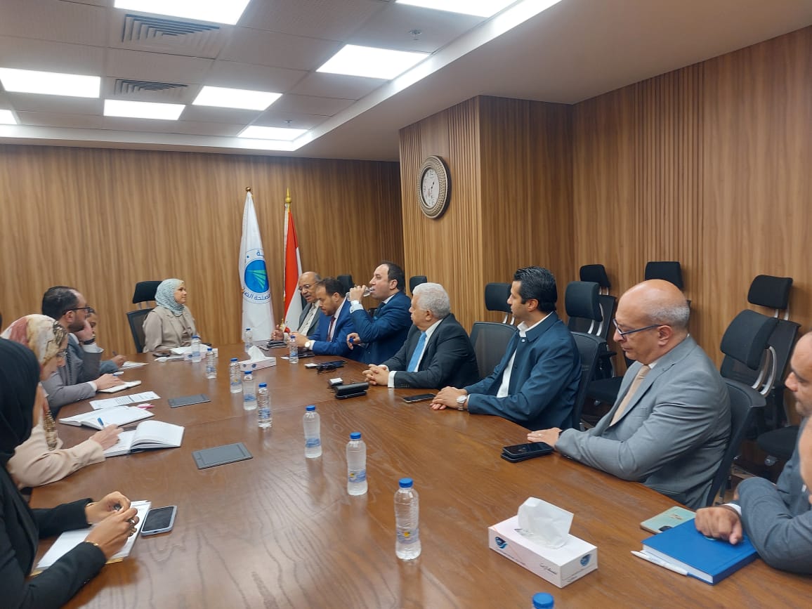 رشا عبد العال تلتقي وفدًا من جمعية رجال الأعمال المصريين الأفارقة
