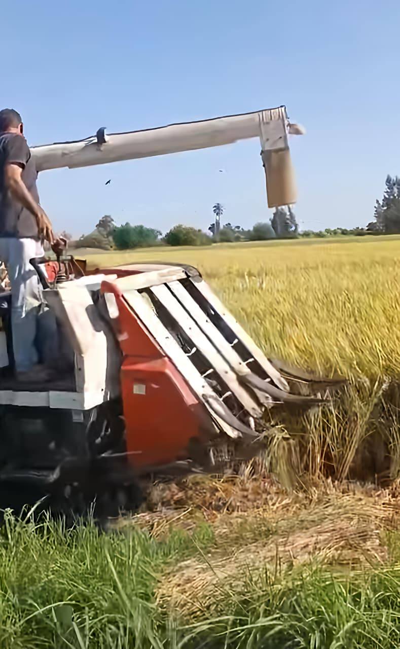 فاروق يوجه بتكثيف جهود الزراعة الآلية لدعم مزارعي الأرز