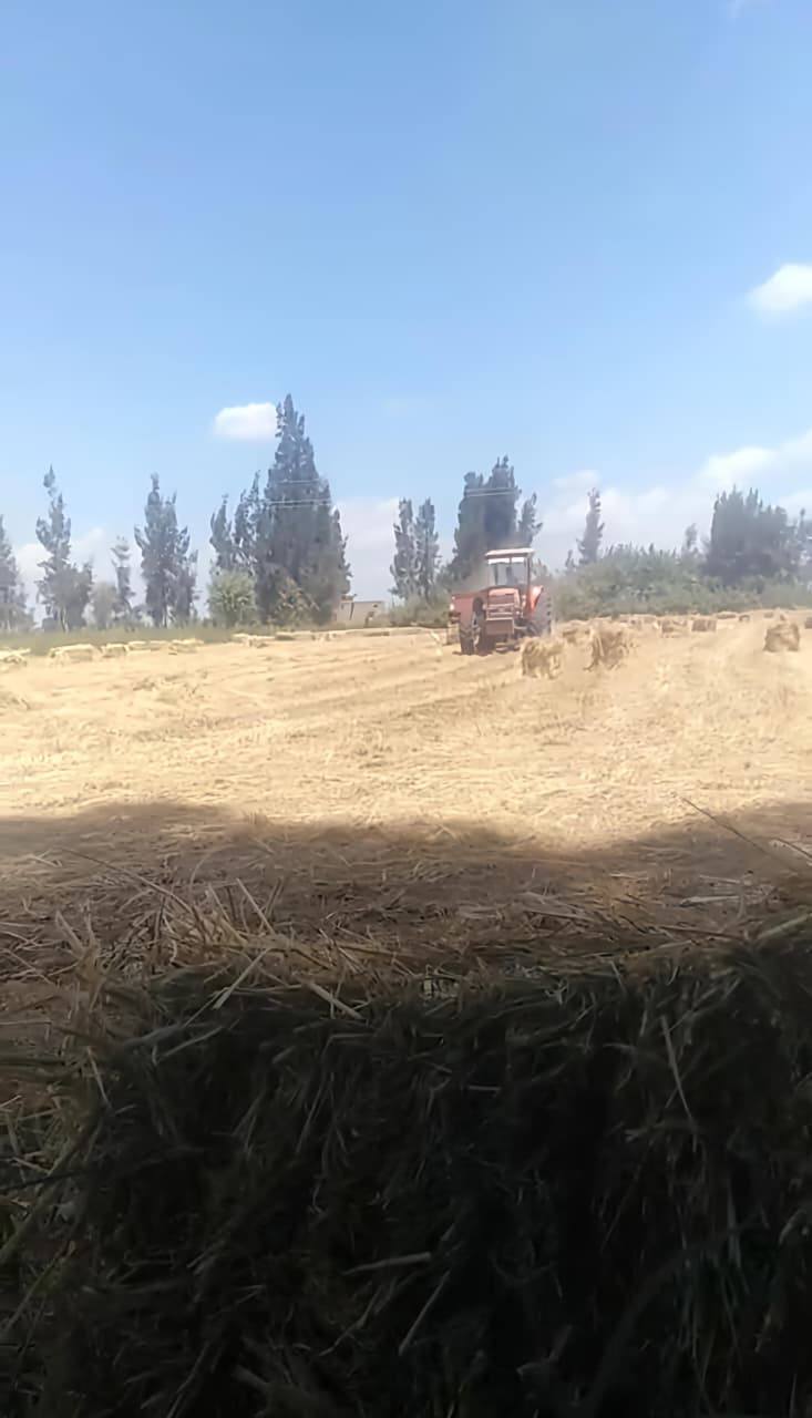 فاروق يوجه بتكثيف جهود الزراعة الآلية لدعم مزارعي الأرز