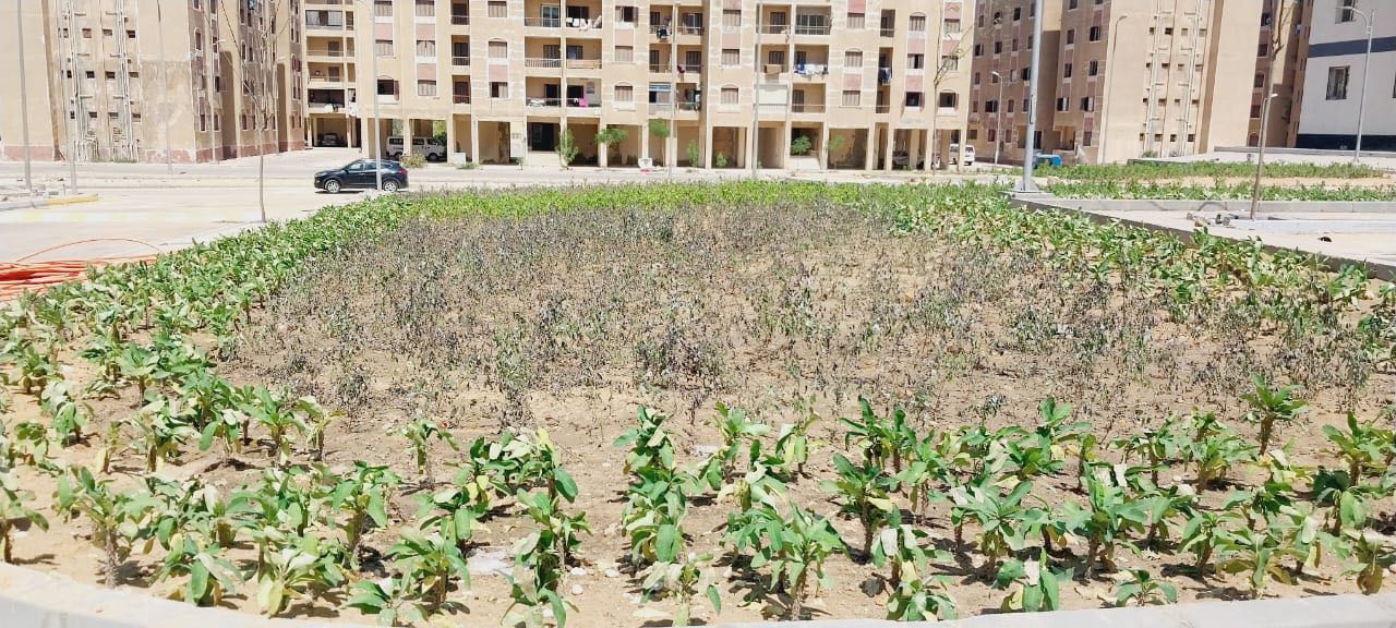 وزير الإسكان يتابع موقف وحدات سكن لكل المصريين وديارنا