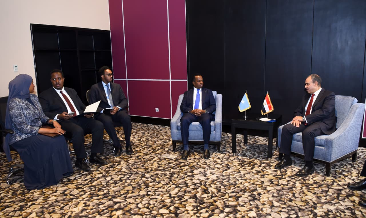 وزير الخارجية يلتقي نظيره الصومالي