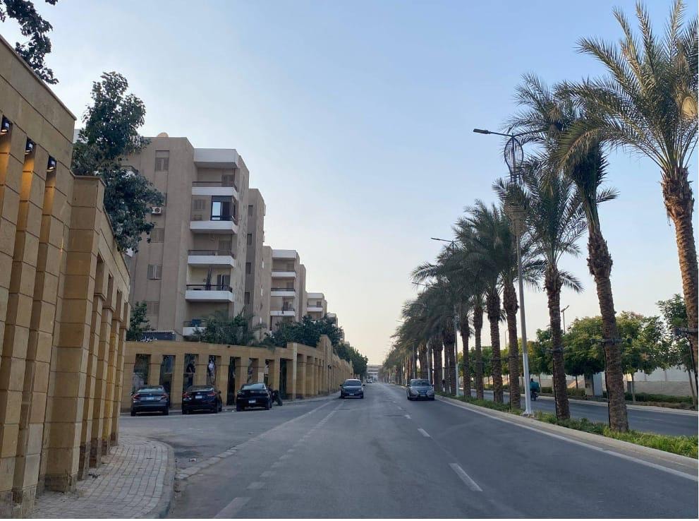 رفع كفاءة الطرق والمحاور المحيطة بالمتحف المصرى الكبير