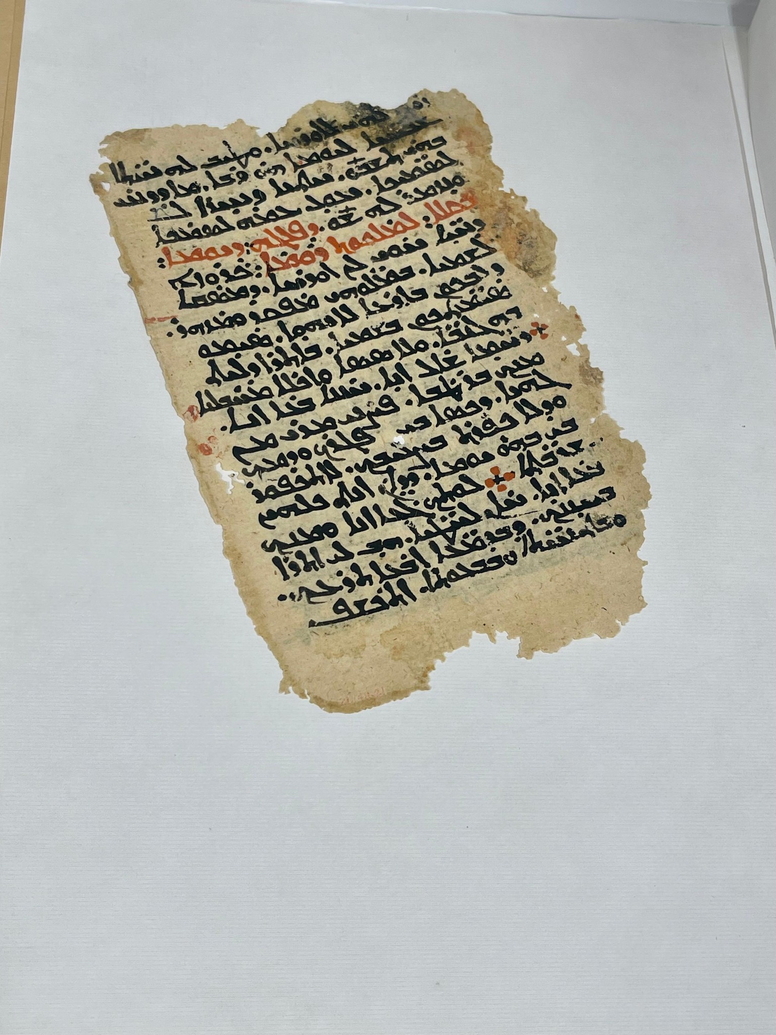 مصر تسترد قطع أثرية من الولايات المتحدة الأمريكية 