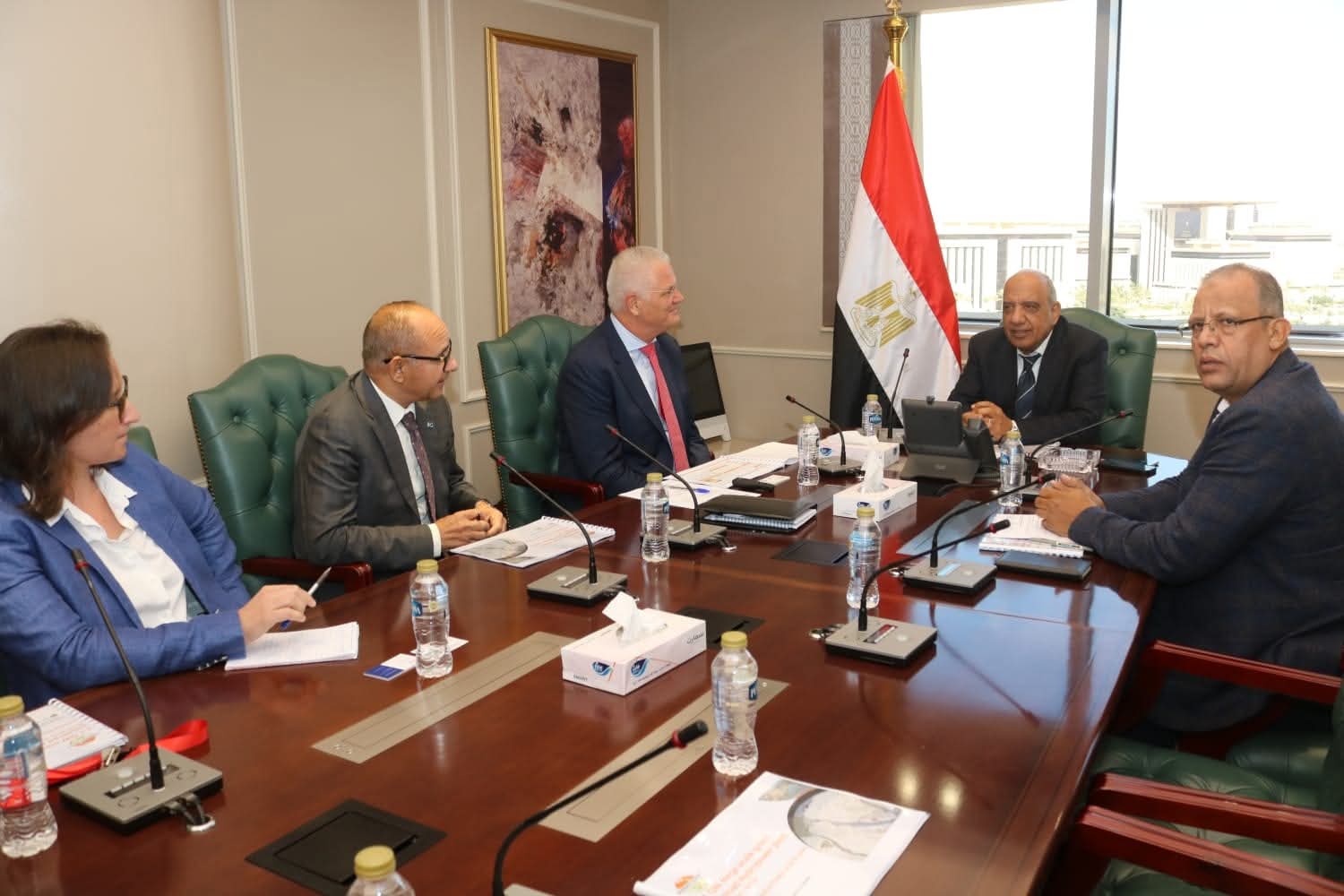 وزير الكهرباء مع وفد رينيرجي جروب بارتنرز