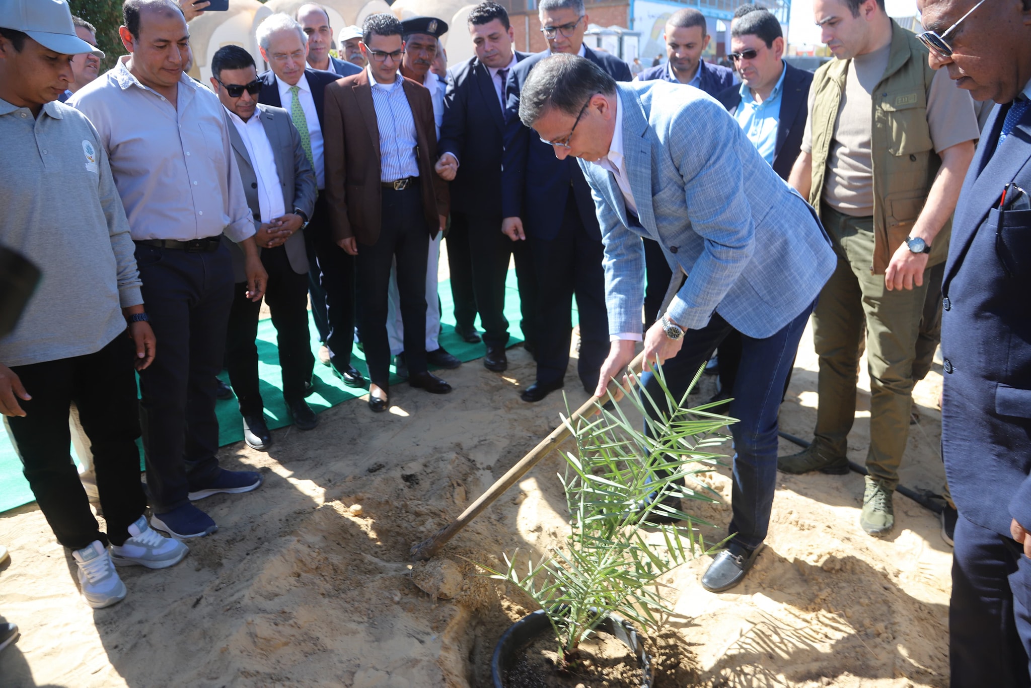 وزير الزراعة ومحافظ الجيزة يفتتحان المهرجان الدولي للتمور