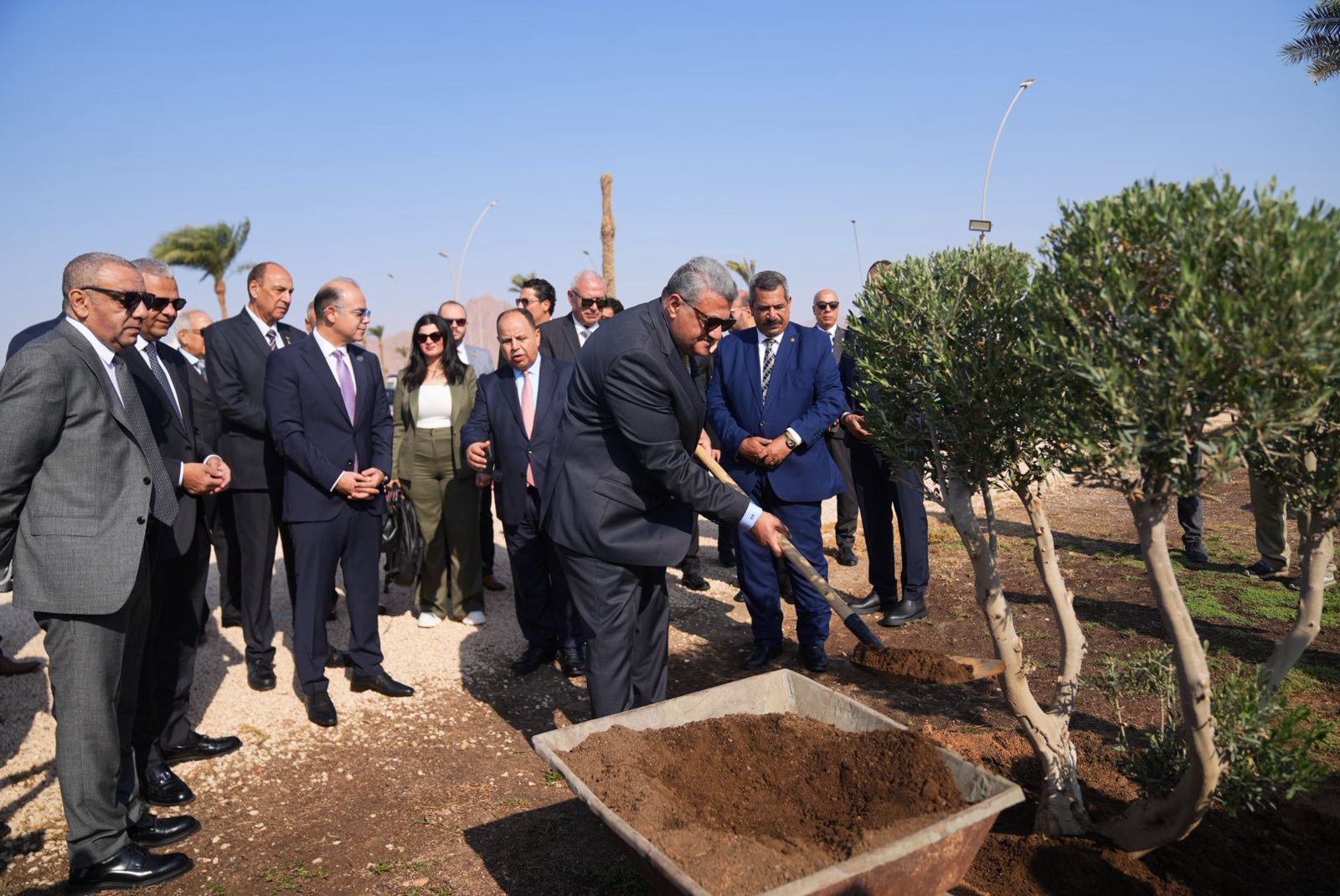 ملتقى شرم الشيخ للتأمين يساهم فى مبادرة لزرع الأشجار و خفض الانبعاثات الكربونية