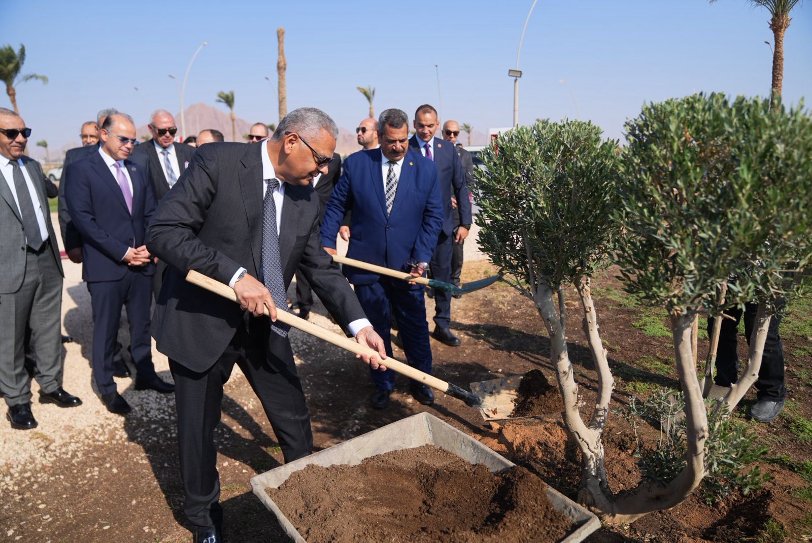 ملتقى شرم الشيخ للتأمين يساهم فى مبادرة لزرع الأشجار و خفض الانبعاثات الكربونية