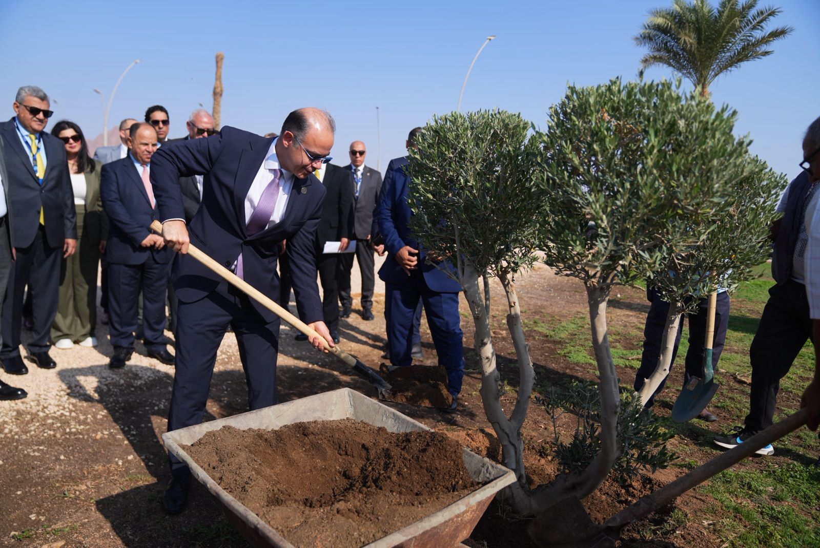 ملتقى شرم الشيخ للتأمين يساهم فى مبادرة لزرع الأشجار و خفض الانبعاثات الكربونية