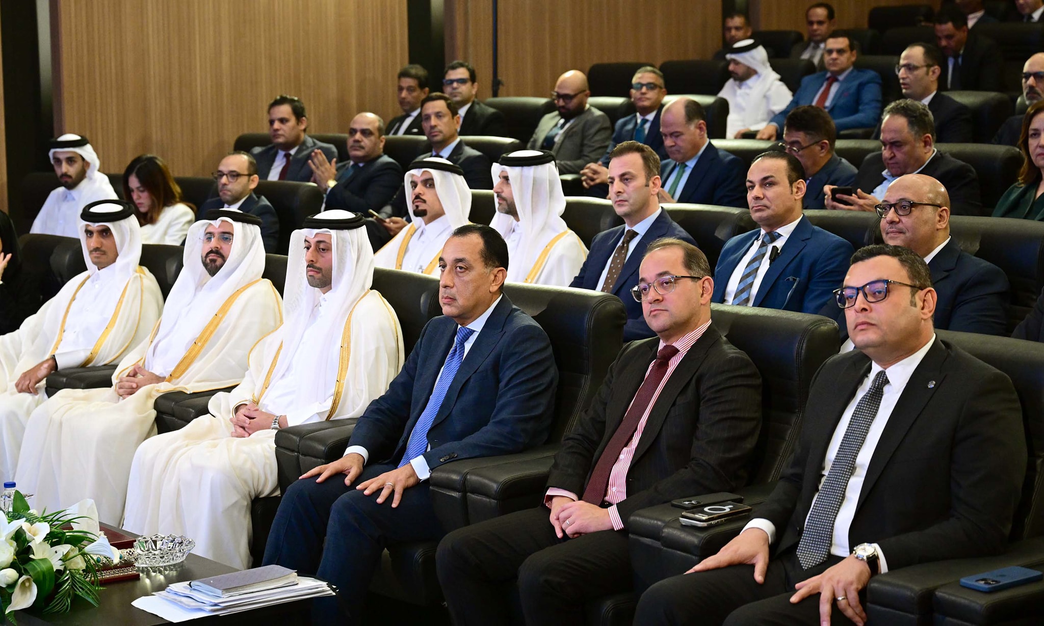 شراكة استثمارية مصرية قطرية لتنمية وتطوير منطقة علم الروم