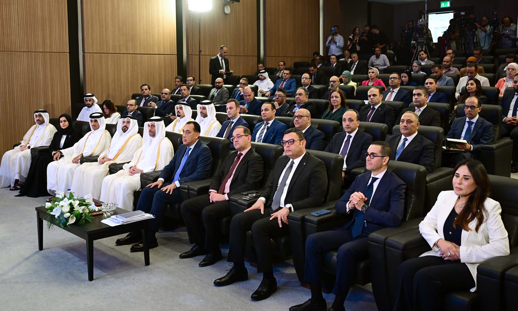 شراكة استثمارية مصرية قطرية لتنمية وتطوير منطقة علم الروم