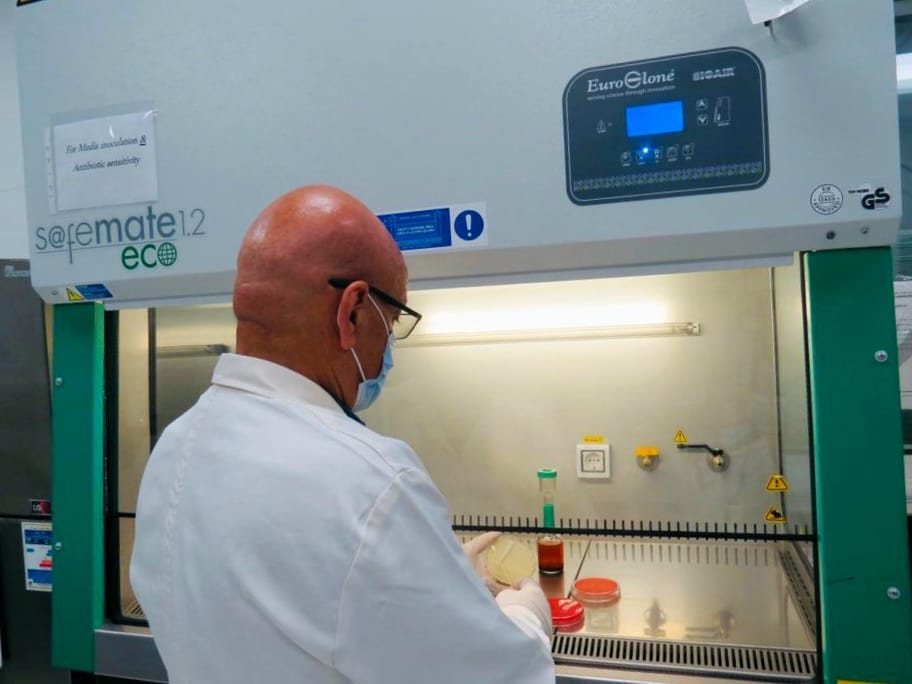 تشغيل 294 معملًا طبيًا في المجمعات الطبية والمستشفيات