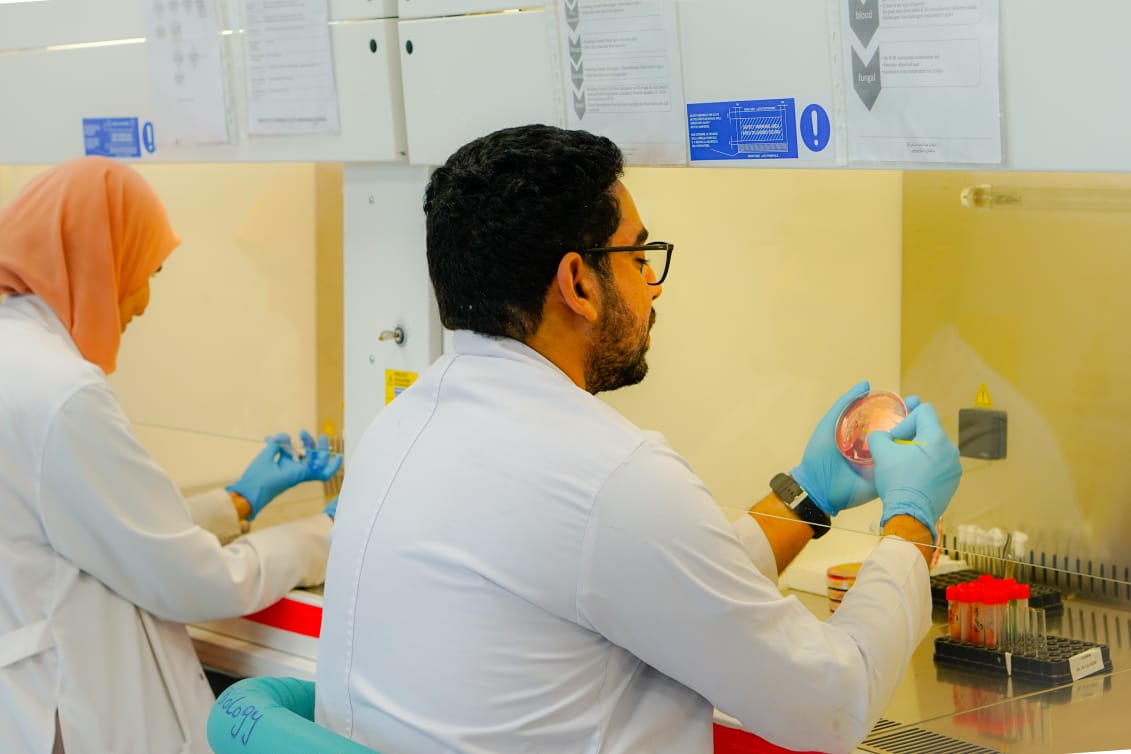 تشغيل 294 معملًا طبيًا في المجمعات الطبية والمستشفيات