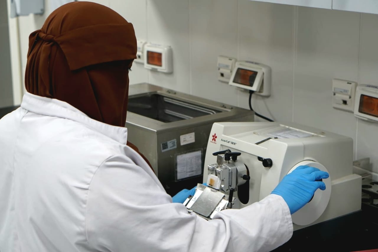 تشغيل 294 معملًا طبيًا في المجمعات الطبية والمستشفيات
