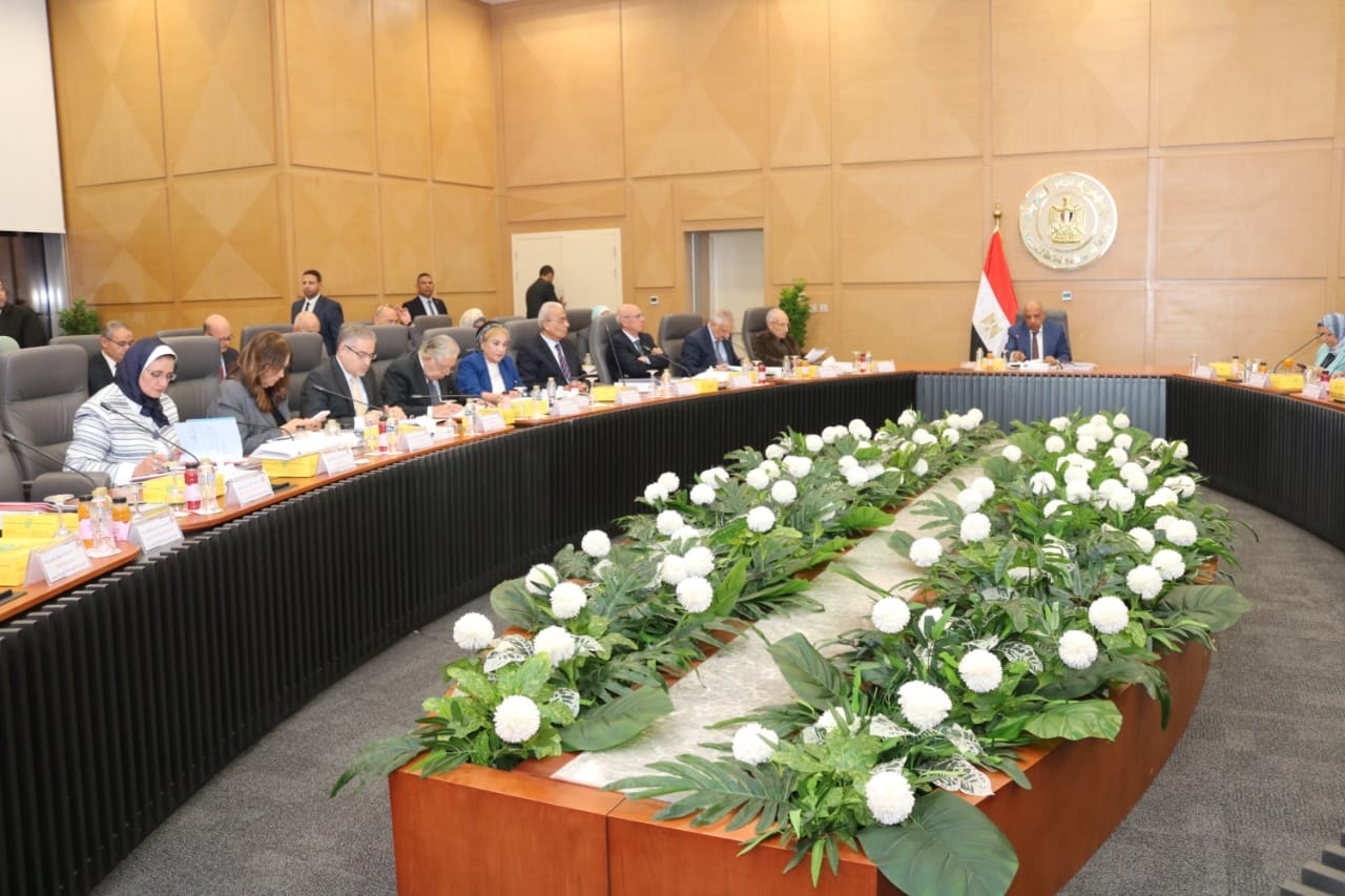 أعمال الجمعية العامة للشركة القابضة لكهرباء مصر