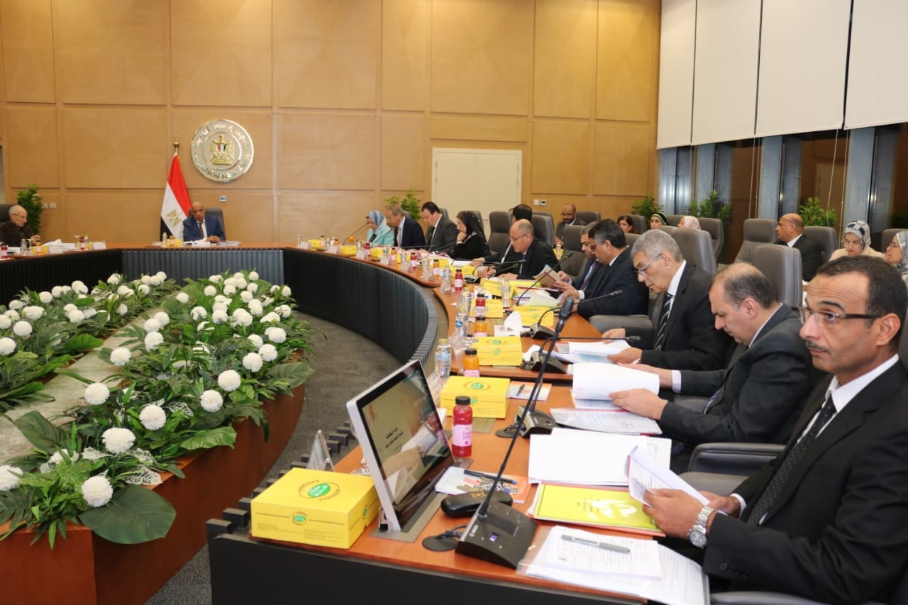 أعمال الجمعية العامة للشركة القابضة لكهرباء مصر