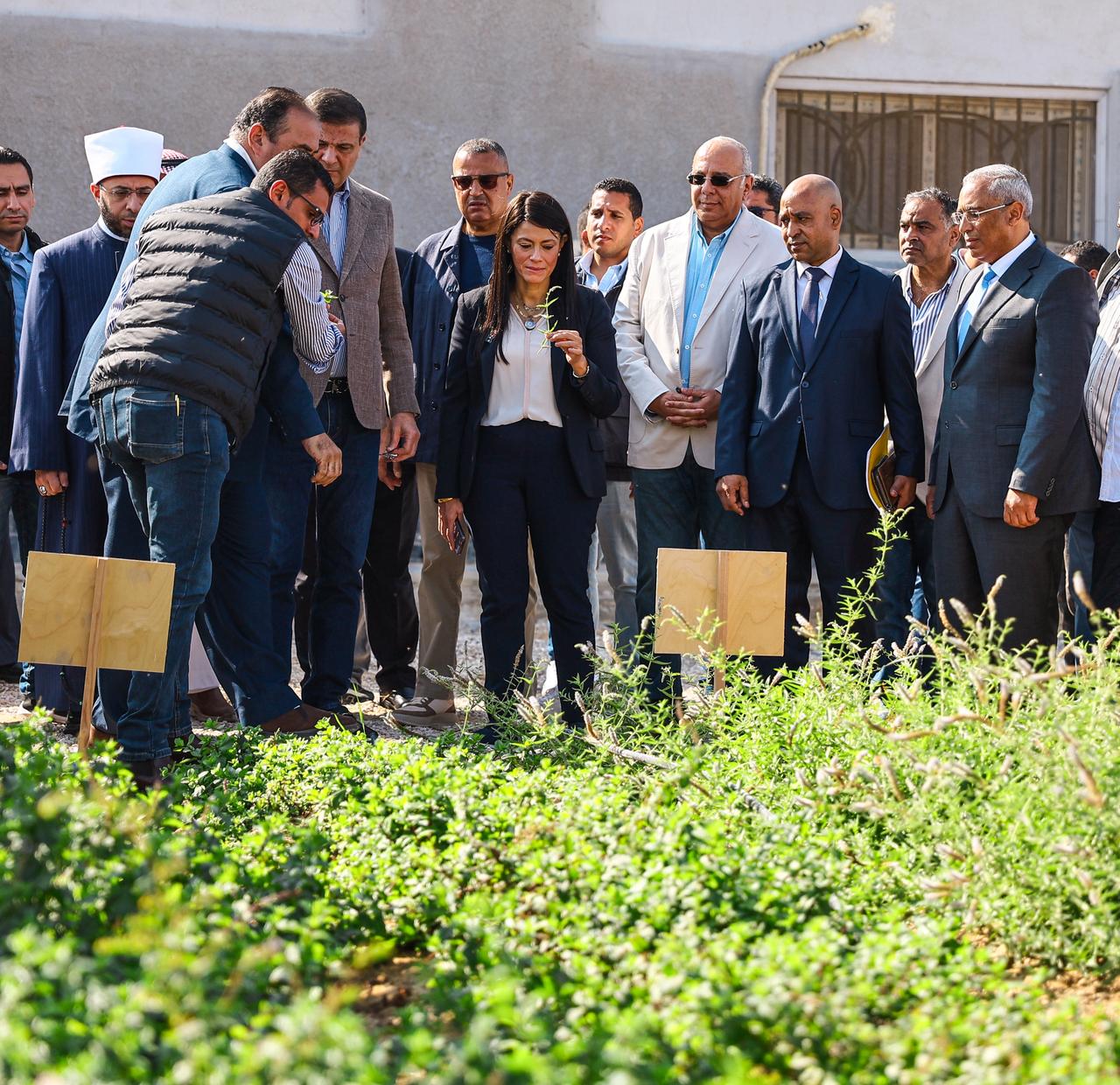 المشاط تستعرض تفاصيل الاستثمارات العامة لمحافظة جنوب سيناء