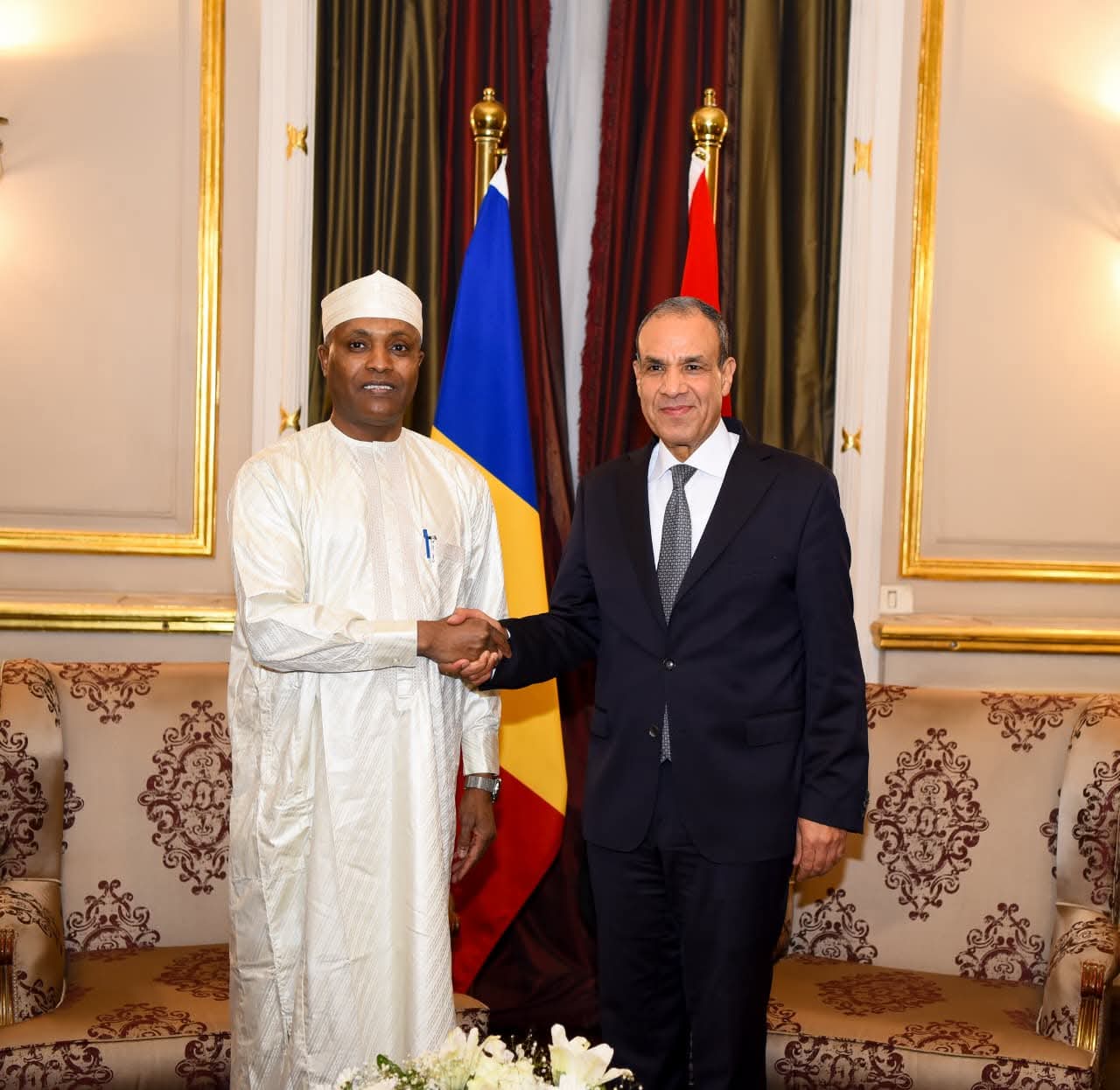 وزير الخارجية يستقبل نظيره التشادي