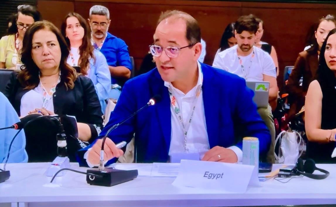 وزير المالية فى جلسة رفيعة المستوى بمؤتمر المناخ بالبرازيل