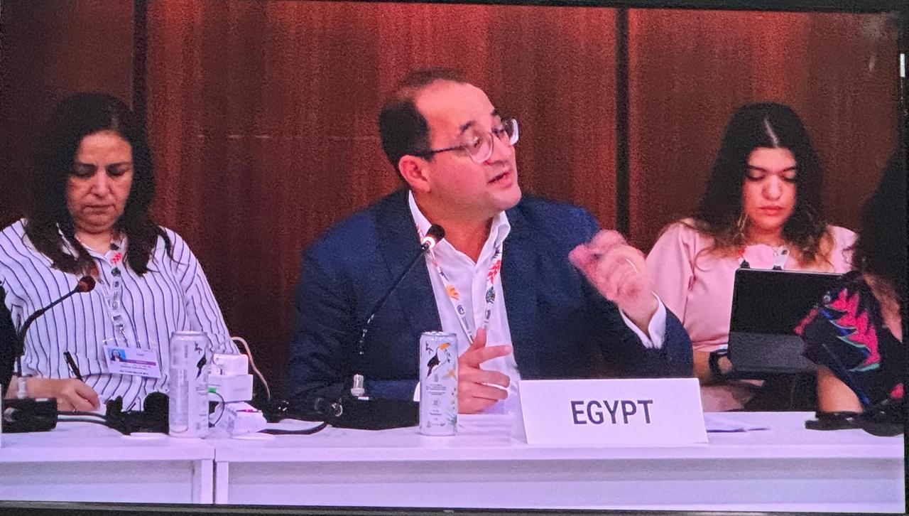 وزير المالية فى جلسة رفيعة المستوى بمؤتمر المناخ بالبرازيل