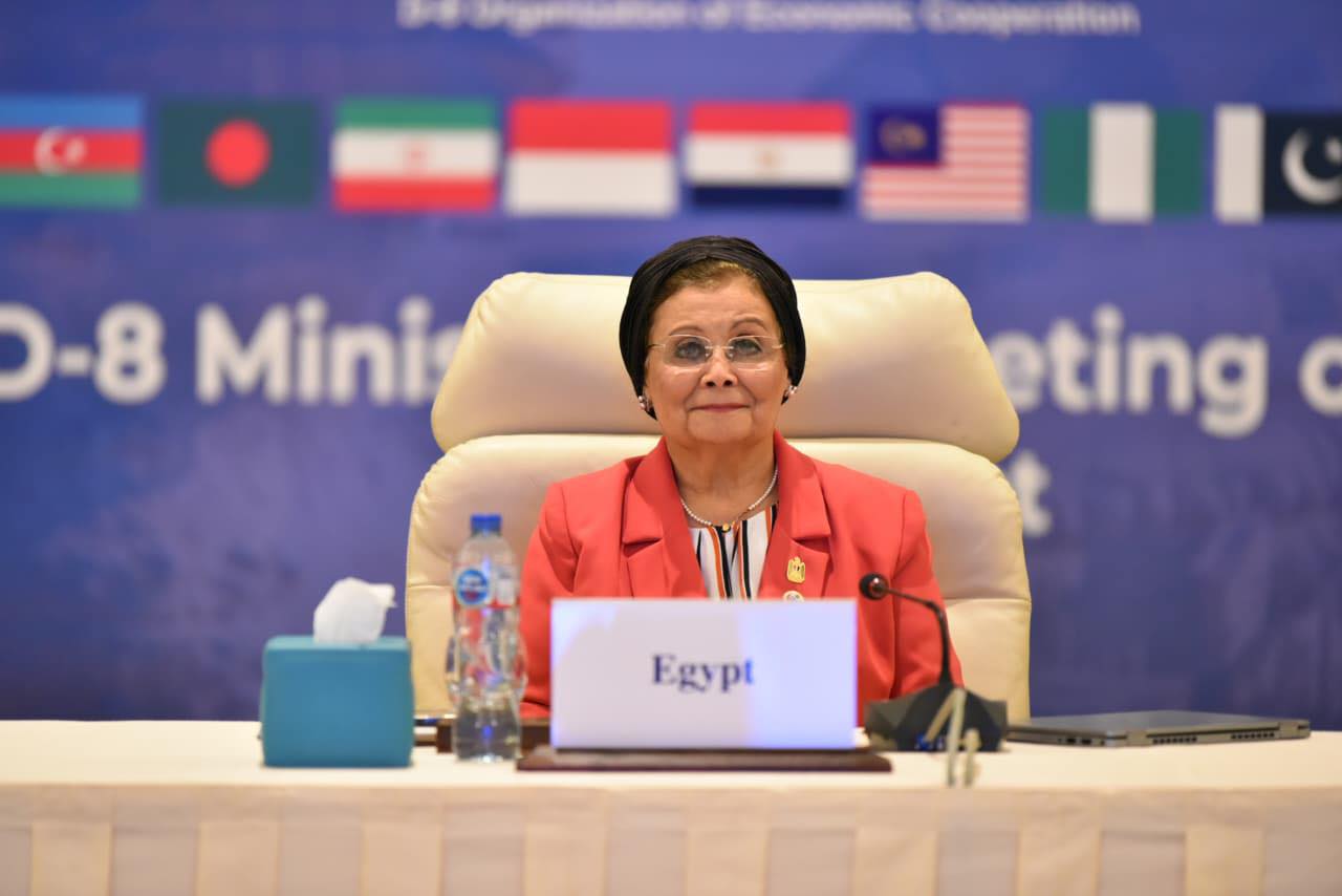 الدكتورة عبلة الألفي نائب وزير الصحة والسكان