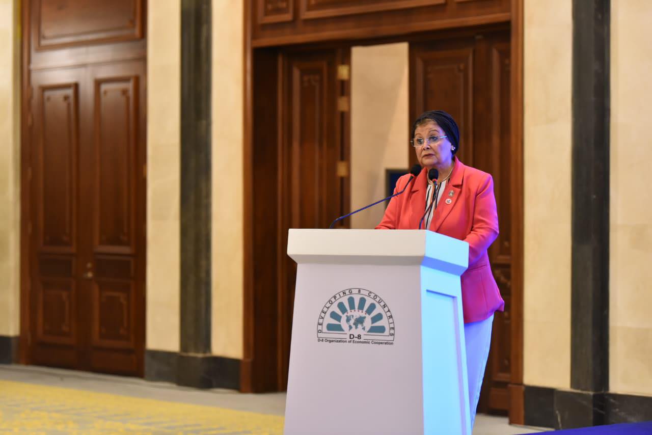 الدكتورة عبلة الألفي نائب وزير الصحة والسكان